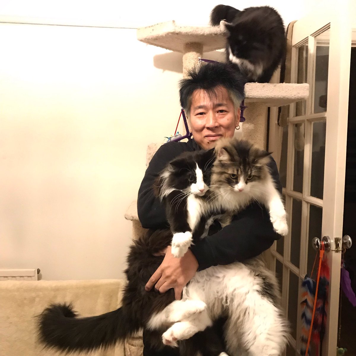 Jetthirteen's tweet image. Happy New Year! 😽😽😽 #NewYearsDay #NewYears2019