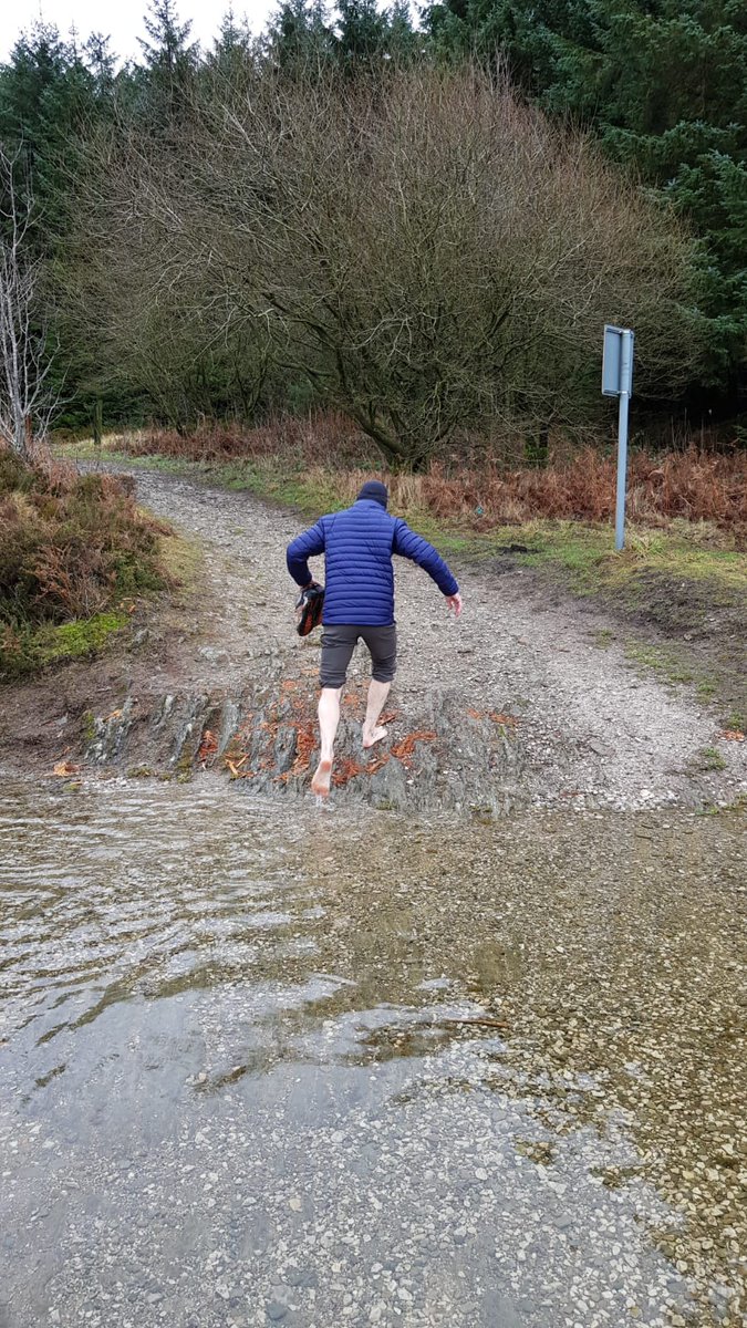 Rob__Graham's tweet image. Christmas day walk threw up a couple of surprises 😂😂.
#LlandeglaForest #NorthWales