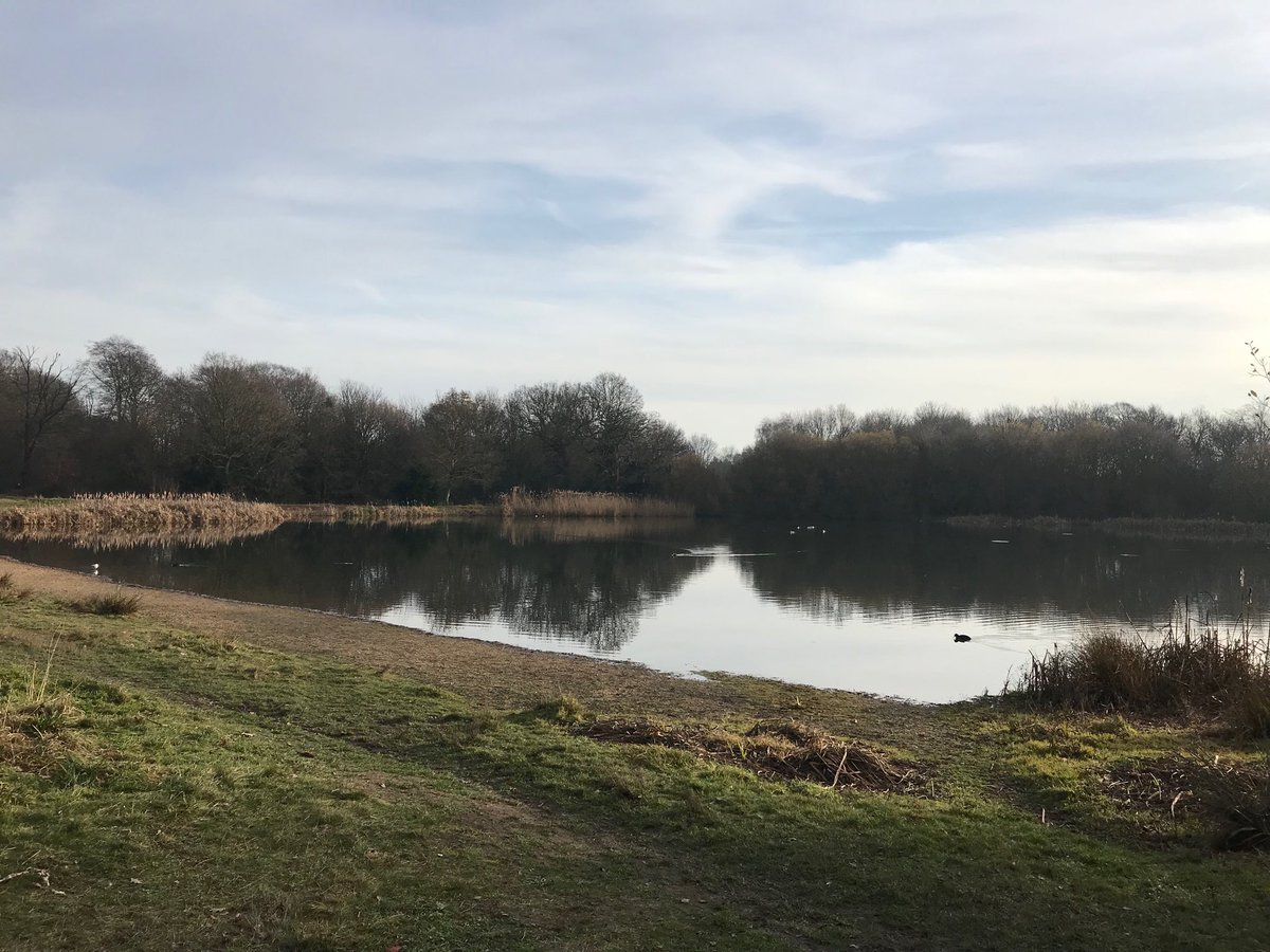 londonstrollers's tweet image. Come explore Wanstead Flats and Park with me and ⁦@londonstrollers⁩ this Thursday. We may even find some skylarks! FREE!! 11am at Forest Gate Station, no need to book, just rock up. ⁦@Ramblers_London⁩ ⁦@RamblersGB⁩ ⁦@LondonNPC⁩ #freewalks #whypay