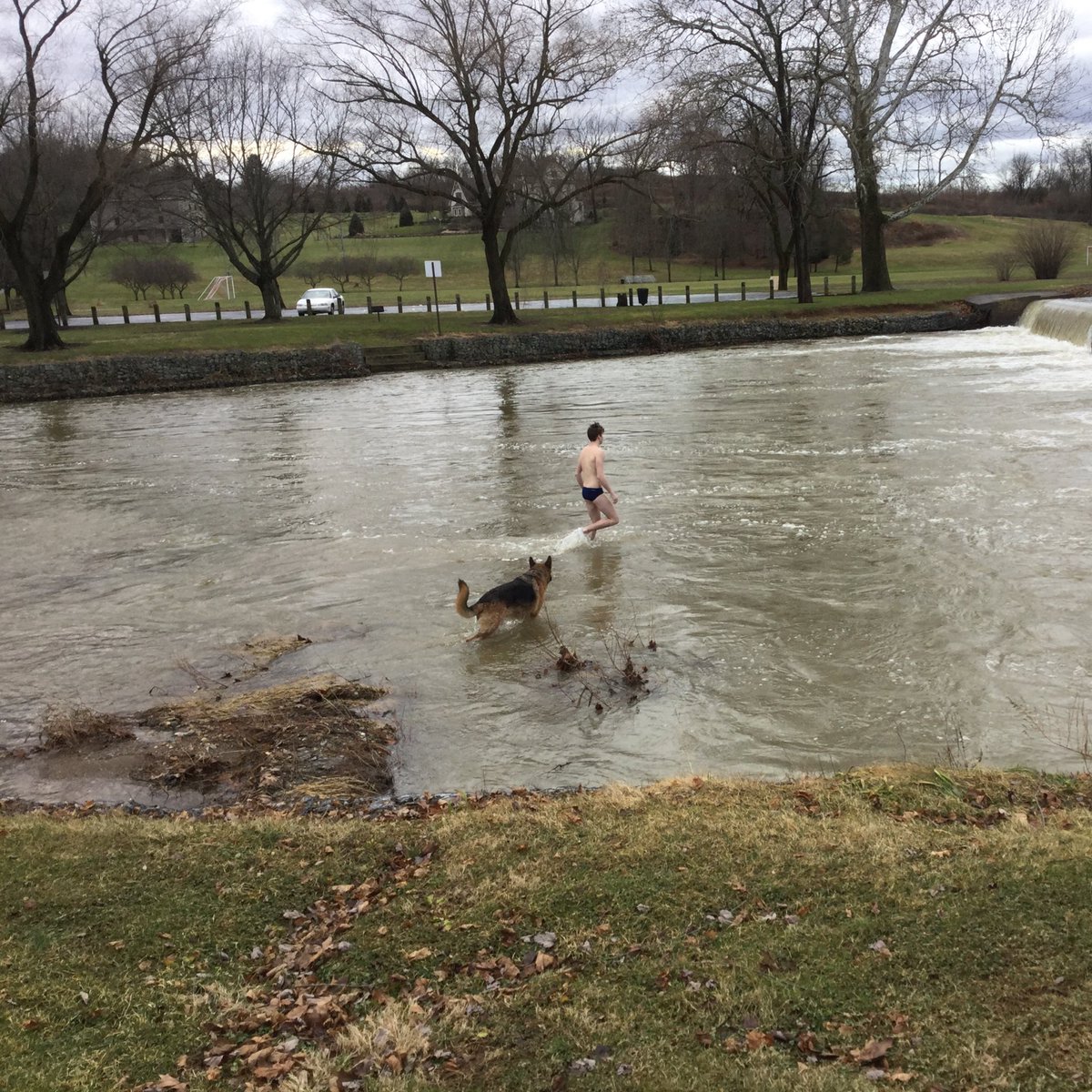 ParklandDiving's tweet image. Check out this Parkland Diving ICON taking his best friend for a walk to ring in 2019. #flip #bobthedog
