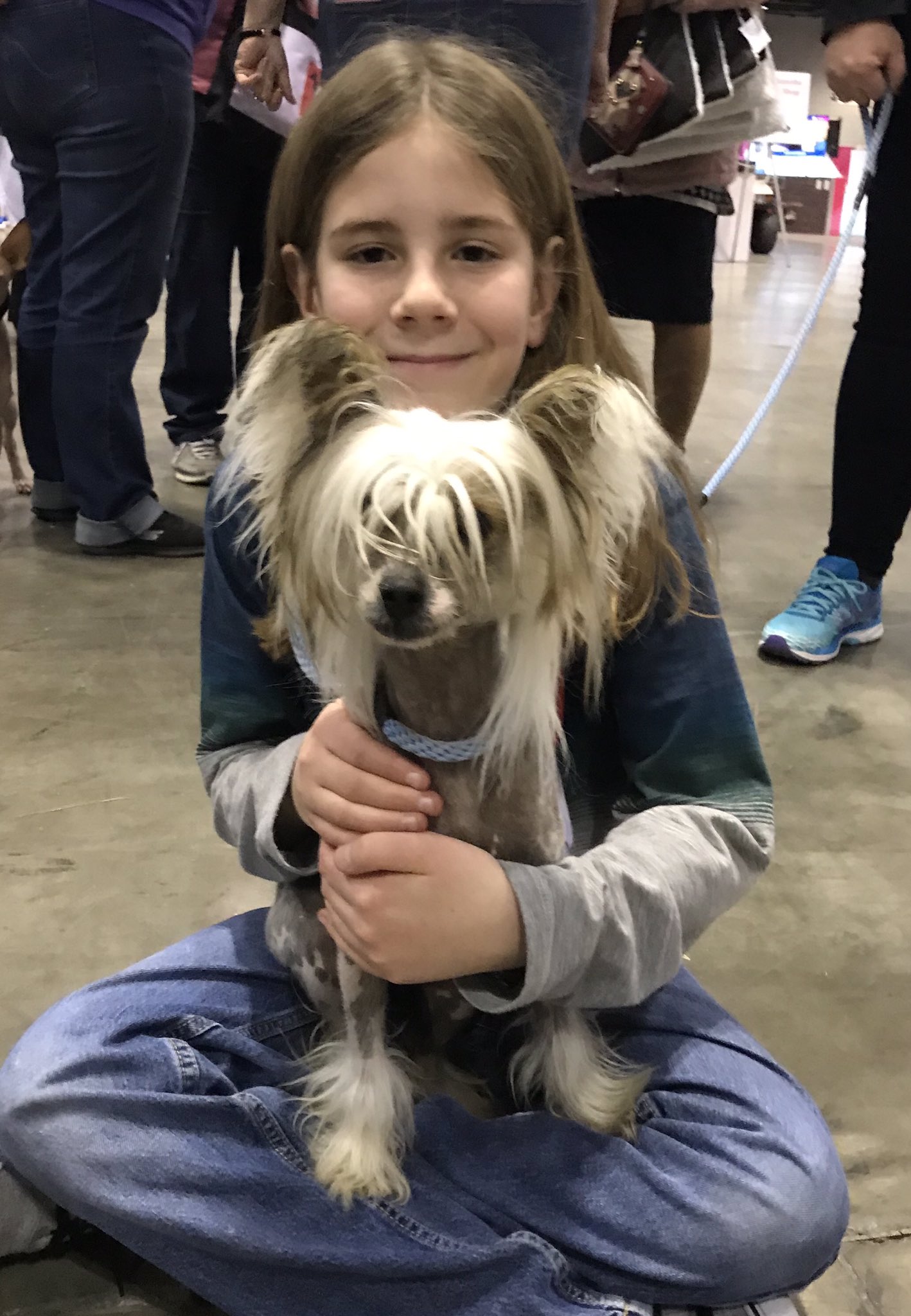 royal canin chinese crested