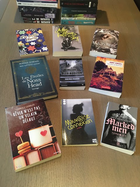 Jm_Dhainaut's tweet photo. Si @hanne_laure , du blog "Mes mots sur vos lèvres" ne devait garder que quelques romans parmi tous ceux qu'elle a lus durant l'année 2018, La Maison bleu horizon y figurerait. Merci 😍 

Lien vers son bilan de lecture 2018 : https://t.co/bJKDMeNcQ0 https://t.co/Y6eE2wI8td