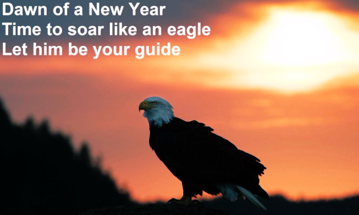 Happy New Year Eagle Nation! We have seven months to get ready! #eaglenation #centralfootball #winningisachoice #NewYears2019