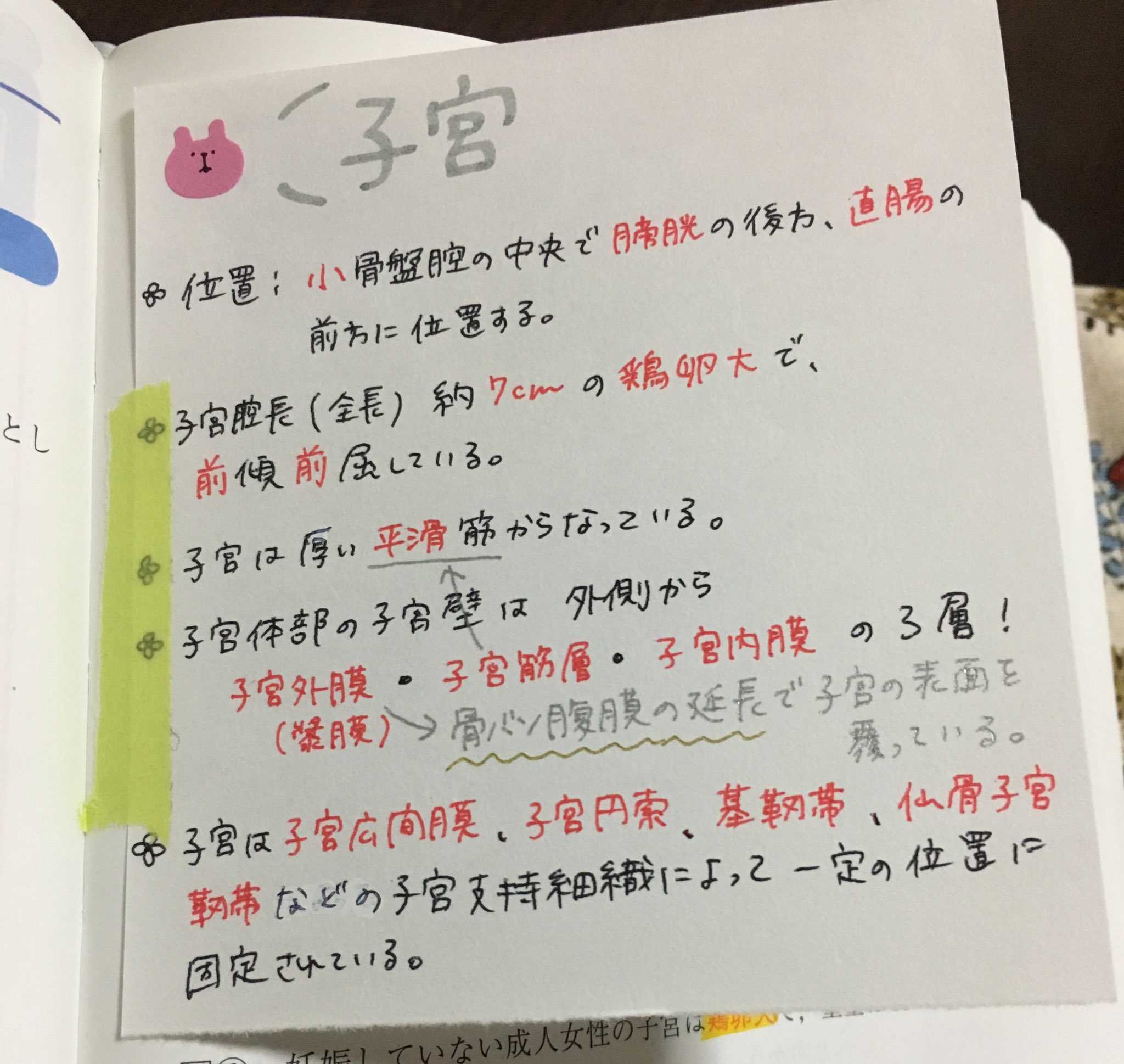 No.5【 産業・研究開発用品 広汎子宮全摘出術 DVD付き