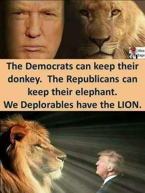 coderedorblue's tweet image. #BuildThatWallNOW #MAGA2020