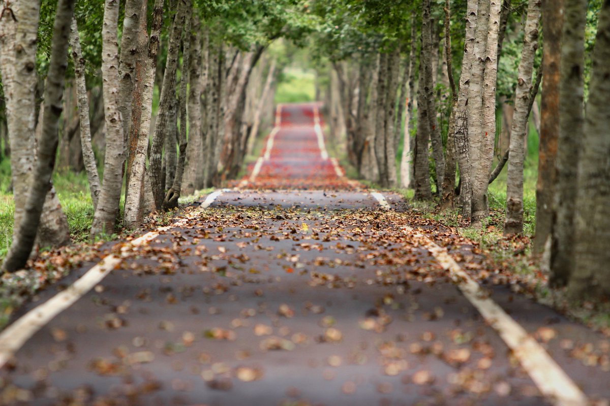 FunRoadsTV's tweet photo. Happy New Year from all of us at #FunRoads. Wishing you many new adventures in the New Year and always stay safe on the road! https://t.co/1WgyoSArR5