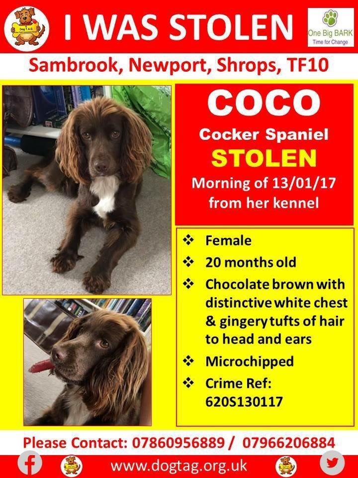 Rosie Doc tweet media