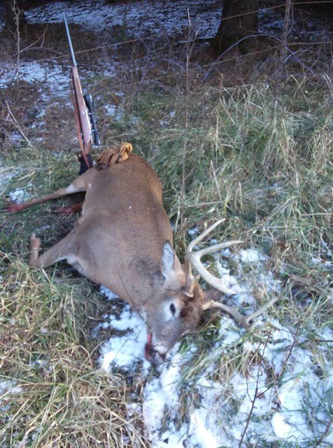 Bucks of Wisconsin tweet media