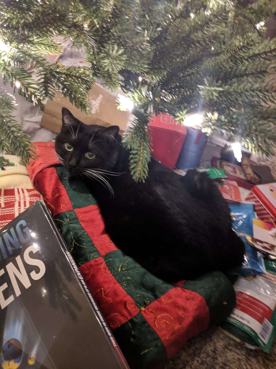 TuxRiley's tweet photo. Happy Mew Year! Looking forward to a great 2019! 🎆🍾🎉🥂 https://t.co/HuVqI8QxUq