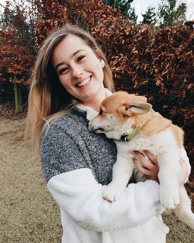 RhubarbBlogger's tweet image. Hoping 2019 is a year full of cute puppies 🐶 
Photo creds @smilesweeties ✨ bit.ly/2RuNaMU