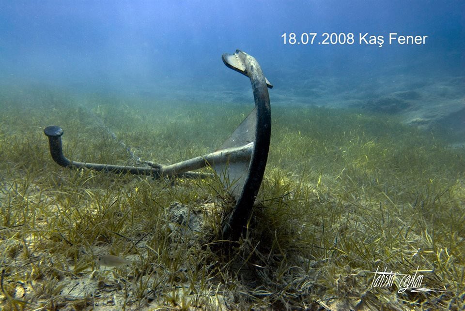 tahsin_ceylan's tweet photo. NELERİ KAYBETTİK...
Burası Kaş Fener Dalış Noktası.2005 -2018.Oksijen kaynağımız deniz çayırlarının üzerine atılan her çapa,yaşamımızdan kopartılan bir parça.Akdeniz'in en büyük deniz çiçekli bitkisi Posidonia oceanica ve Cymodocea nodosa'nın en yaygın bulunduğu alandı.Tükettik.. https://t.co/JUryJGcGDM