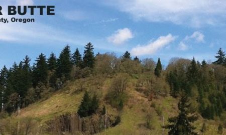 go_eugene_or's tweet image. Skinner’s Butte!!Visit and Check Out Skinner’s Butte- Your Best Local Partner in Eugene Or Oregon Today! See Relevant Information, Read Reviews About Skinner’s Butte, And Get The Help You Need.see more eugeneororegon.com/listing/skinne…