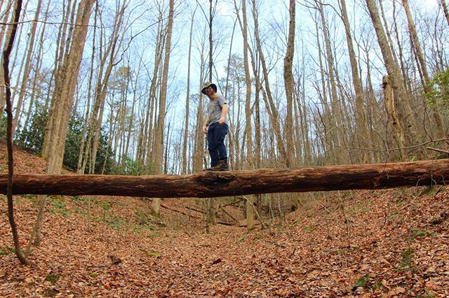 MagnisBeard's tweet photo. 🌲 https://t.co/EZ8H5GCYS4 https://t.co/uV3dUAADW9
