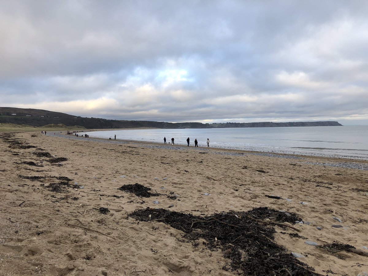 msparkled's tweet photo. Getting some fresh air at Oxwich 😊 glad to see the back of all that festive nonsense! #BackToRealityPlease https://t.co/hrwg6sr2Iq