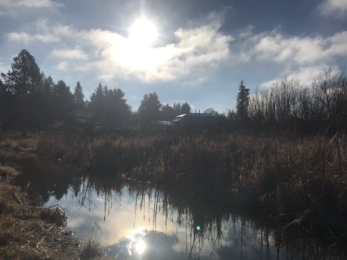 Happy New Year from all of us at Zenger Farm! #happynewyear2019 #zengerfarm