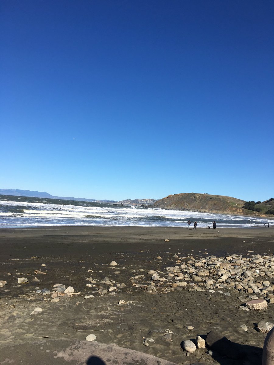 AndreaRader's tweet photo. Happy New Year 🎊yesterday beach day 🌊 today relax tomorrow create a whole new life #createanewlife #Grateful #Veganlife https://t.co/5xek1lfWTR