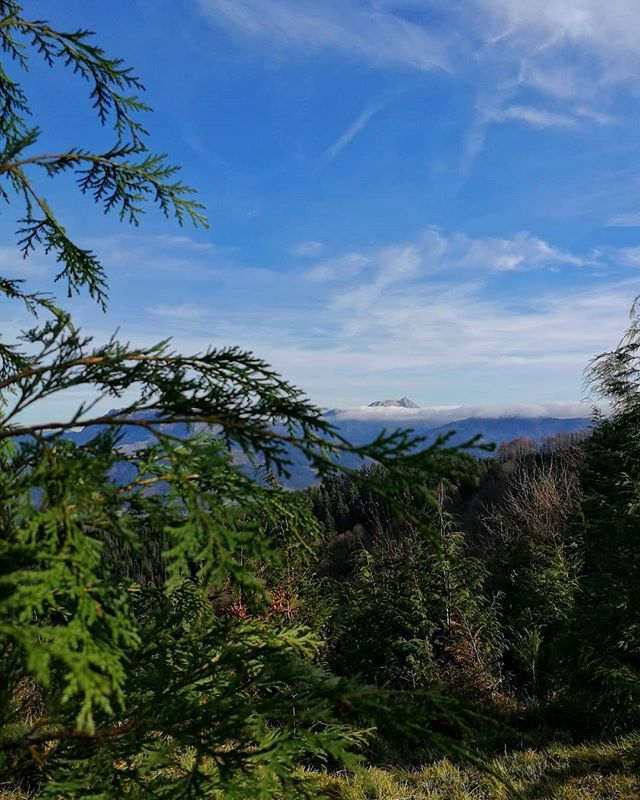 PabloZuripa's tweet photo. Últimos paseos de 2018.... Al fondo Anboto. En éste 2019 más y mejor...
#lovephoto #lovephotography #igerseuskadi #nature #bosque #sky #mountain #montaña #lovephotography📷 #lovenature #lovemountain #Gorbea #landscape #light #basquecountry #euskadi #basquemountains #paysbasqu… https://t.co/CxvJtWBfB4