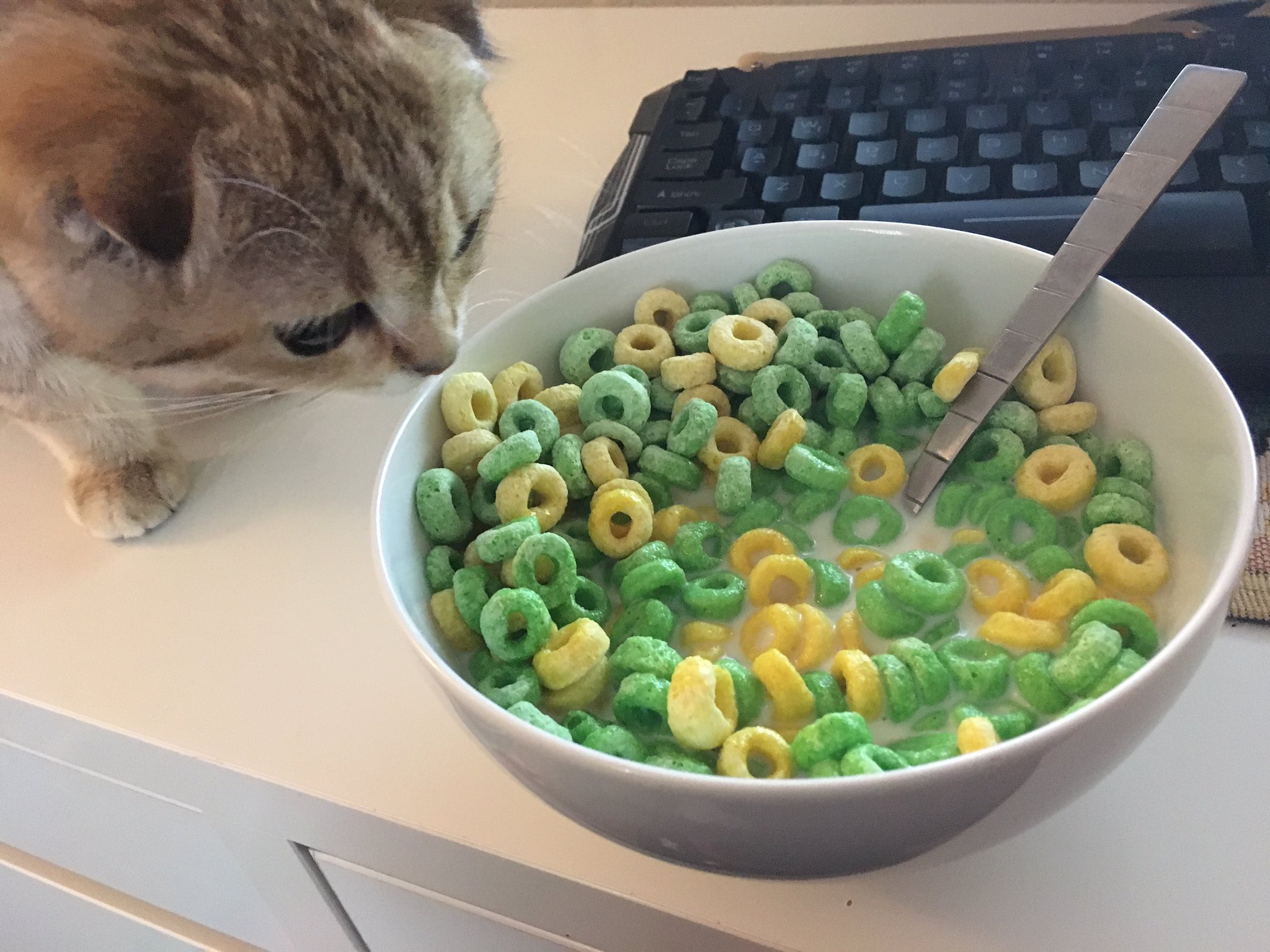 Dv1gdhSXgAATcmh.jpg:large