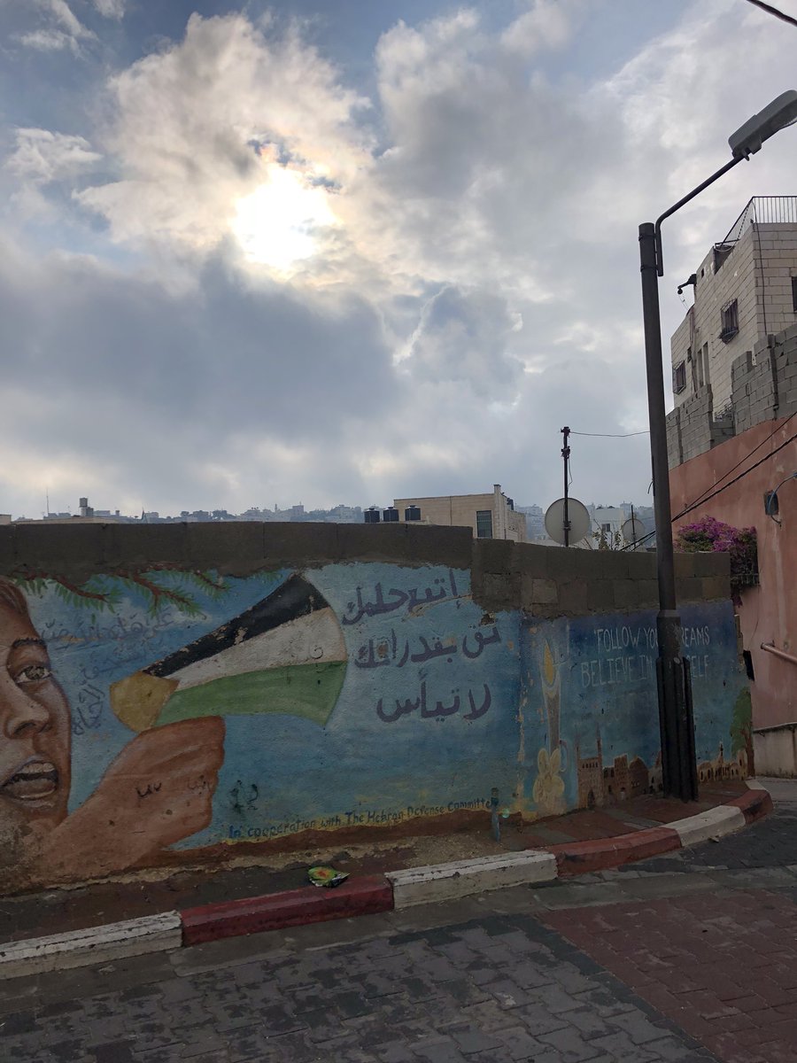 🇵🇸