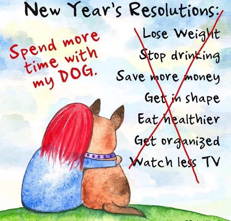 threedogindy's tweet image. We&apos;re OPEN until 6PM today! 🐾💜 #bringyourpup #bestresolution #spendtimewithyourdog #newyears2019