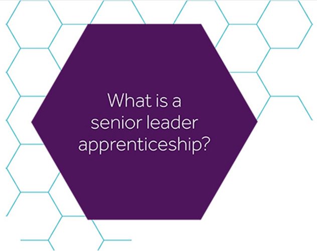 AllianceMBS's tweet photo. Join us at our taster event for #apprenticeships. This will provide insight into our leadership and management programmes which are accessible using apprenticeship levy funding - the MSc Management Practice and the Global MBA. Register here: https://t.co/74Gp7ZUf5G https://t.co/MyfWCUsC4h