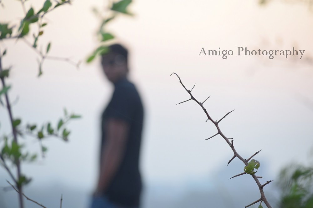 Beauty of Shades under LowLight  #AmigoPhotography