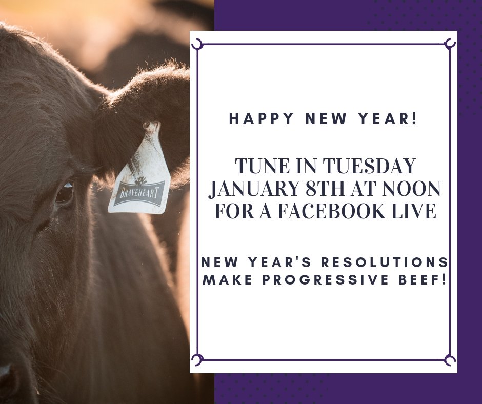 ilsbeef's tweet photo. #HappyNewYear2019 from our families to yours! Tune in via Facebook Live January 8th at noon for #TuesdayThoughts on how New Year's Resolutions make for #ProgressiveBeef! #CattleTales https://t.co/TY1qSAdKj6