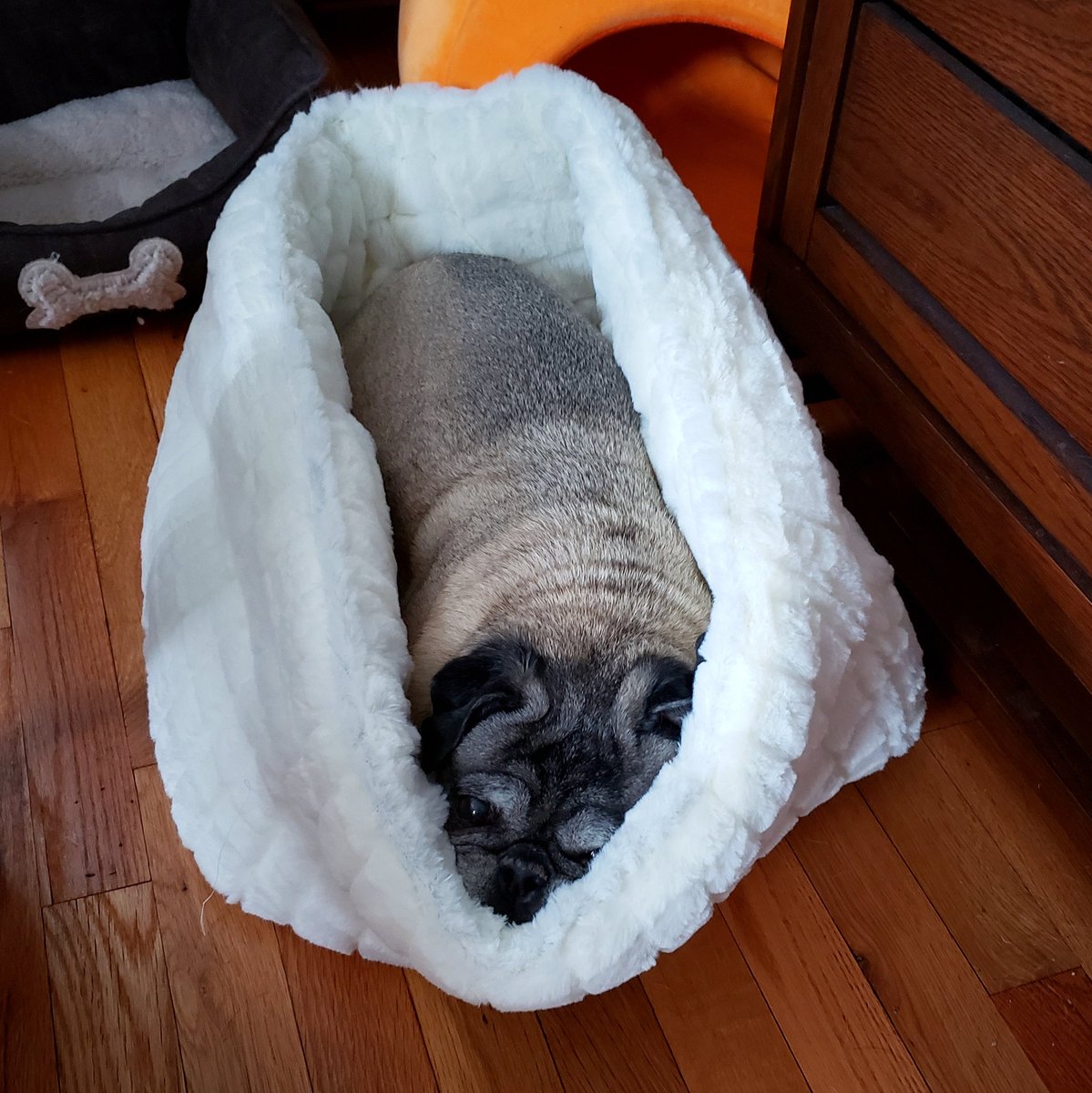funaek's tweet photo. When the cuddle cube is too small to lie down straight, you make it work. #cousindoughy #cuddlecube #cuddleoval https://t.co/rgyjVJStkz