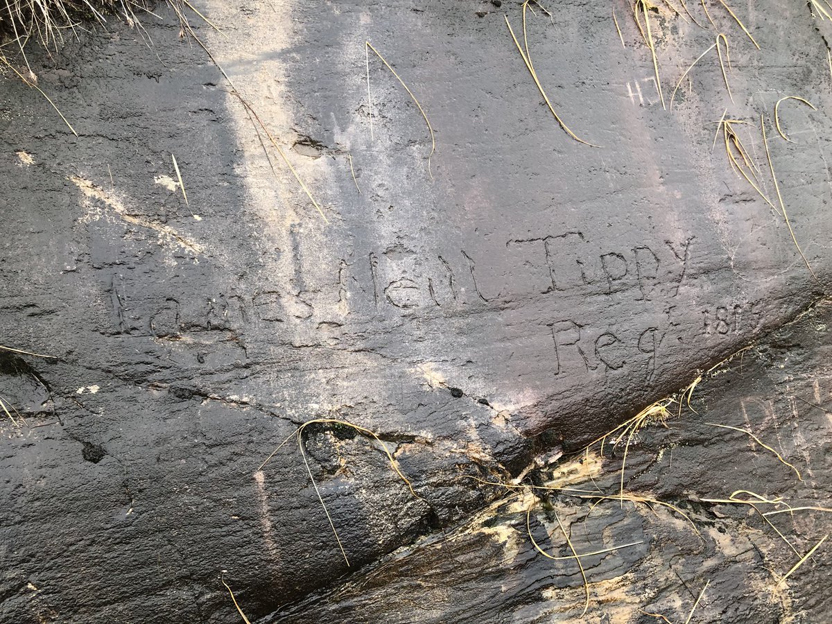 Plenty of people on the Old Kenmare Road today. I wonder how many noticed the 200 year old graffiti? 

Find out more: killarneyguide.ie/old-kenmare-ro…