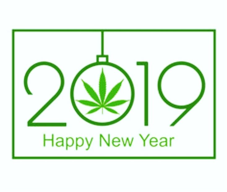 allweednews8's tweet image. Happy New Year!
#marijuanagram #marijuanapictures #marijuanamodels #marijuanaismedicine #marijuanamania #marijuanaman #cannabispatient #cannabisindustry #cannabisheals #cannabiscup #cannabismedicinal #cannabislife