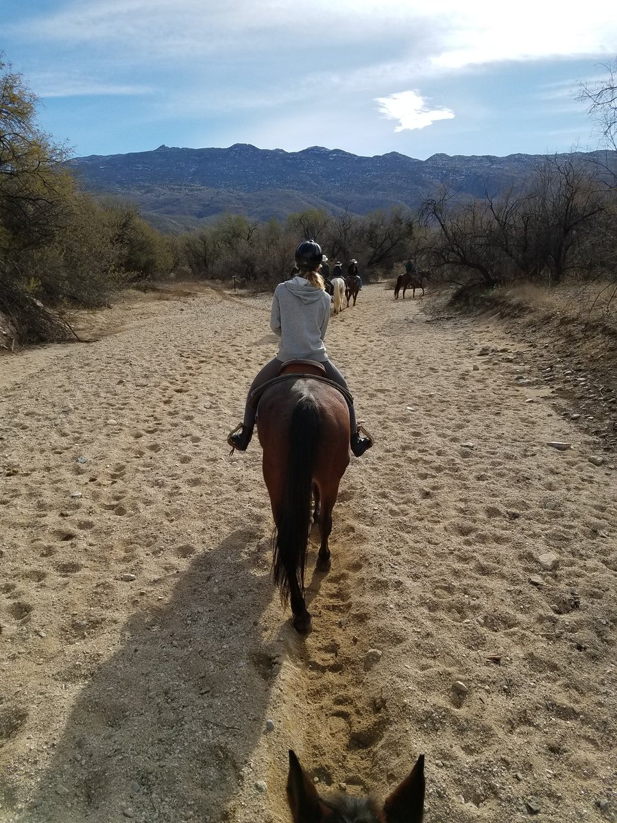 lljay27's tweet image. Enjoying the Tucson wash with my girl #lifebetweentheears