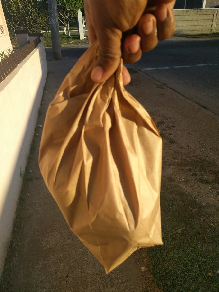 Went to the shop just now and got a paper-bag #supportbanonplastic #PlasticBanJa @nepajamaica @darylvazmp