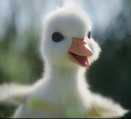 lapau_lapau's tweet photo. RT si este patito te ha robado el corazón https://t.co/UFPhOHinXc