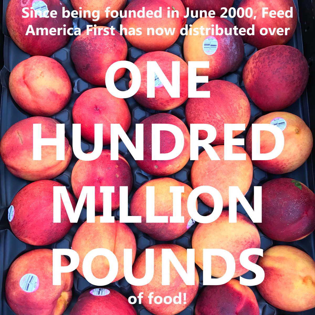 We’re ringing in the new year with some BIG news! Since being founded in June 2000, Feed America First has now distributed over ONE HUNDRED MILLION POUNDS OF FOOD!