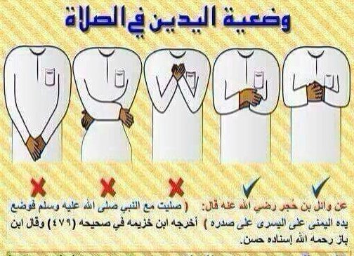 alsif244 tweet picture