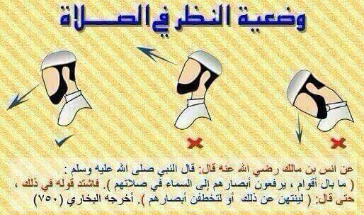 alsif244 tweet picture