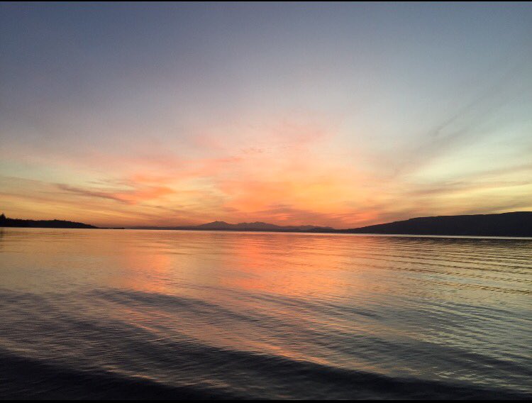 smcw2005's tweet photo. 'Nature is always lovely, invincible, glad. All scars she heals, whether in rocks or water or sky or hearts.' - John Muir
#LunderstonBay #loveScotland https://t.co/fHnurcm4kz