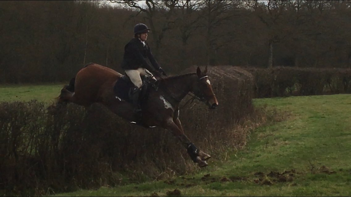 GEWeventing's tweet photo. Hedge hopping with the one & only #megamare https://t.co/jc53kuZu9o