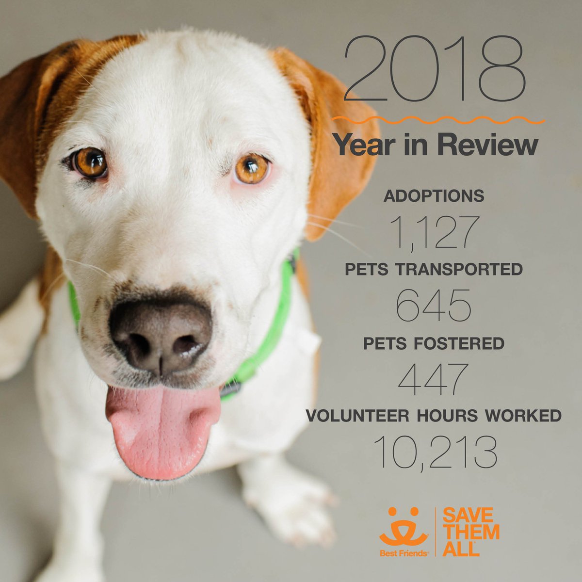 2018 gave us a lot to celebrate, and we couldn't have done it without our volunteers! Make saving animals your New Years resolution. Learn more and join us: bit.ly/ATLvolunteer #HappyNewYear #Goodbye2018 #SaveThemAll