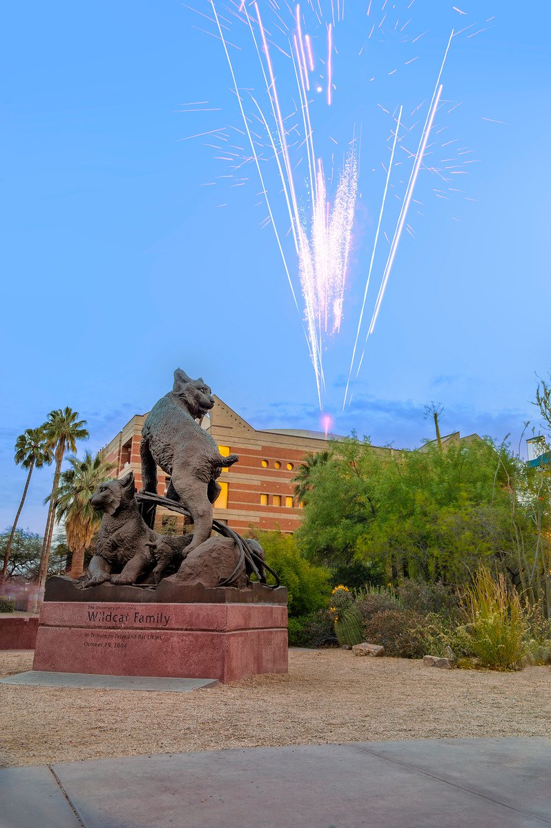 Happy New Year to Arizona Wildcats around the world! #BearDown in 2019! It is going to be a great year in the history of the @UofA