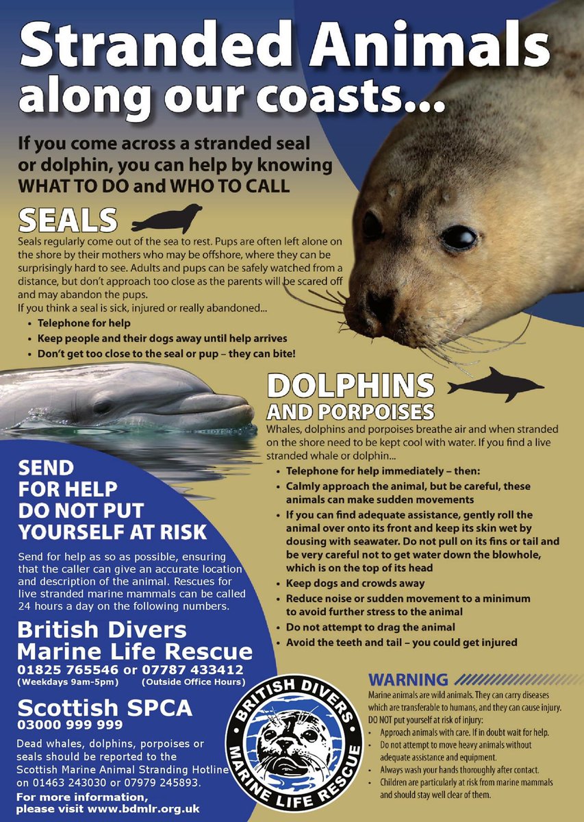 1st Seal pup callout of 2019
#HappyNewYear2019 <a href="/BDMLR/">BDMLR</a>_Newcastle @BDMLR @northcoastaonb <a href="/NorthSeaWT/">North Sea WT</a> <a href="/N_landCouncil/">Northumberland County Council</a> <a href="/N_IFCA/">Northumberland IFCA</a> @LoveSeahouses <a href="/staidanhotel/">St Aidans, Seahouses</a> <a href="/alnwickgazette/">Northumberland Gazette</a> <a href="/VisitNland/">Visit Northumberland</a> @BBCCountryfile <a href="/bbcnewcastle/">BBC Sport Tyne & Wear</a> @NldSport <a href="/farnesdiving/">William Shiel</a> #wildlifephotography #Sealrescue #seal <a href="/Seal/">Seal</a>