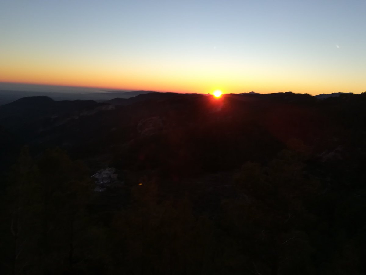 Toni Vallès tweet media