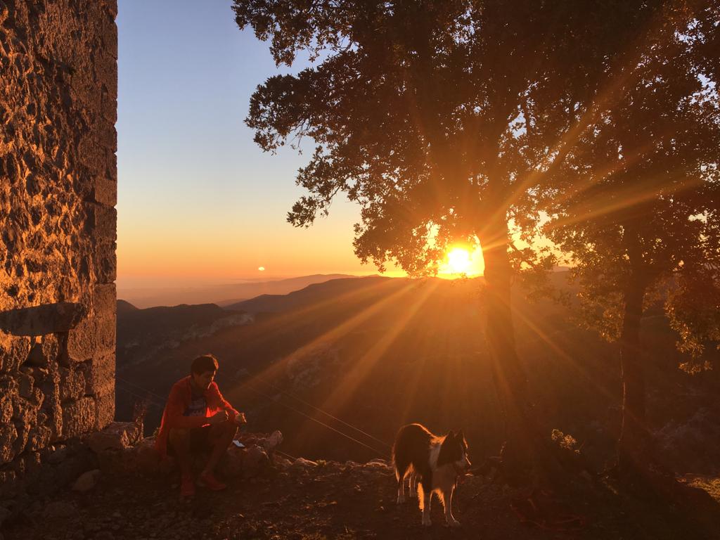 Toni Vallès tweet media