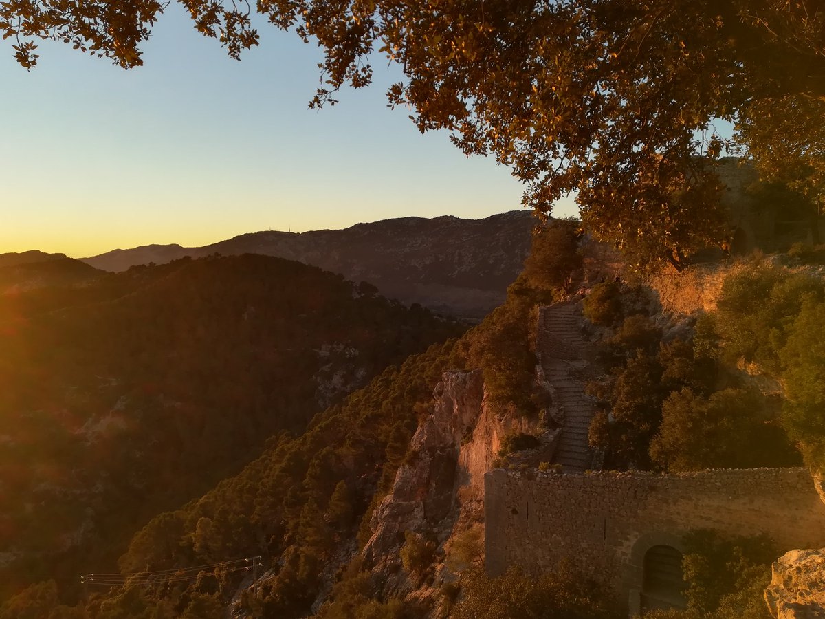 Toni Vallès tweet media