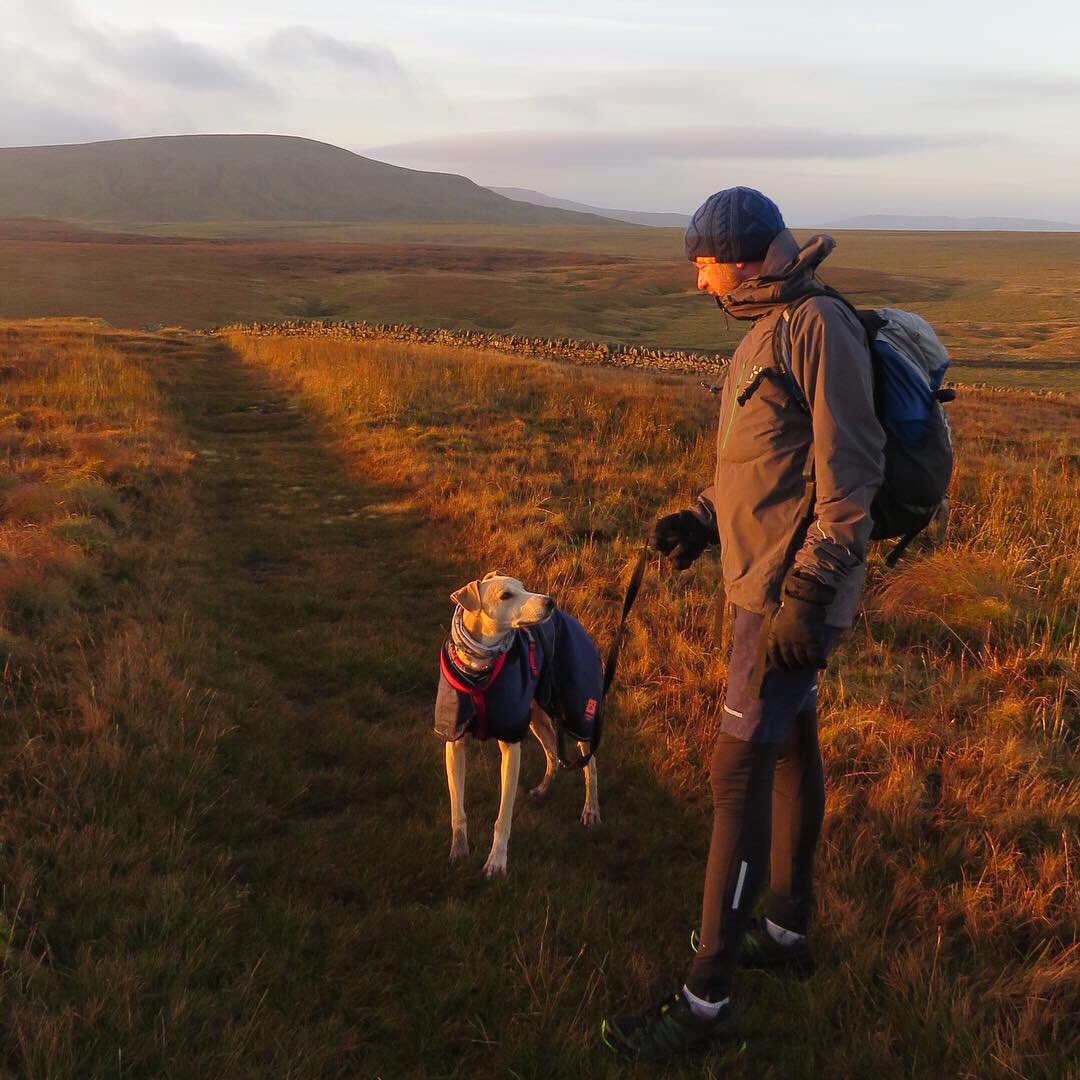 oldcrofthouse's tweet photo. The first windy ears of 2019...
#greatstarttotheday #worththeearlystart #windyears at #sunrise #herestomanymore #dogsofinstagram #kirkbystephen #cumbria #westmorlanddales https://t.co/tyu7oDwdyn