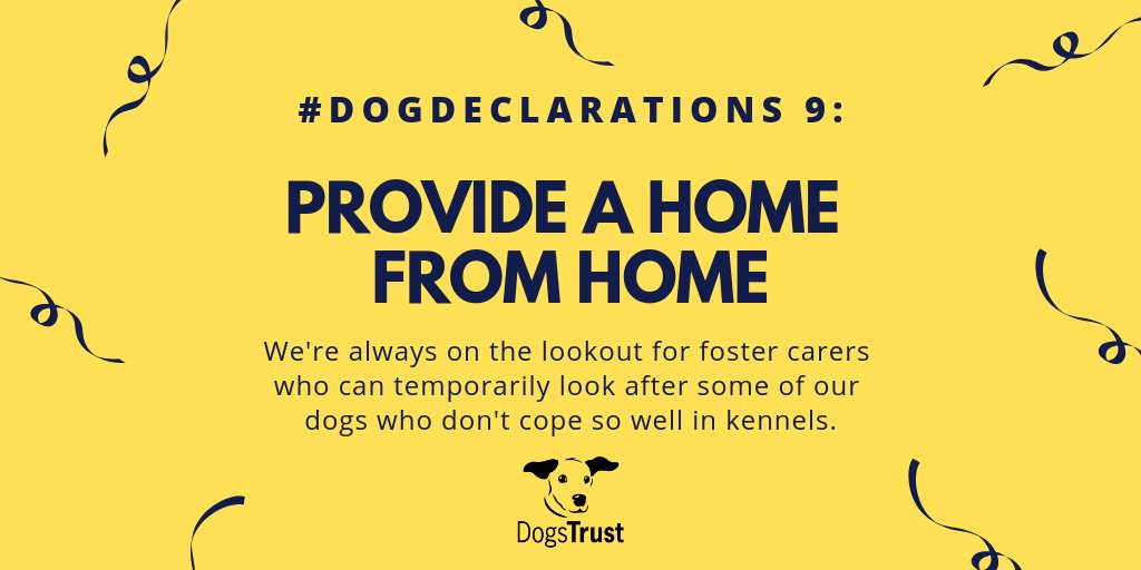 DogsTrust's tweet photo. #DogDeclarations: Some dogs just aren't cut out for kennels - to care for these dogs we rely on foster carer swho can provide a temporary home from home. 🐶🏠 If you have space in your heart 💛 and home 🏠 for a doggy pal, find out more: https://t.co/2STHsA3d6c https://t.co/bW8YAzo2bI