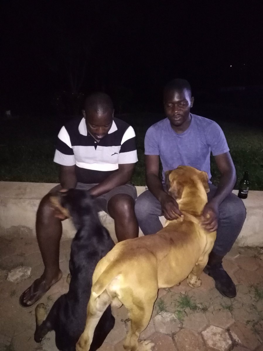 With bro Webby Jiti & canines Wakanda(rottweiler) & Kaizer(boerbull) reflecting on struggles 4 an inclusive & democratic Zim where people's issues r heard & addressed 2 ensure transformation,opportunities & prosperity 4 all. 

2019 is the year for #Recovery

#VincereCaritate