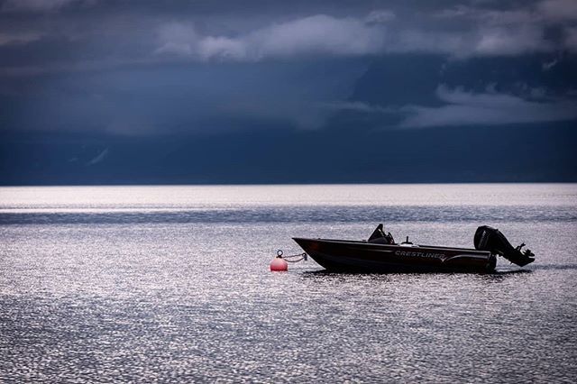young_madao's tweet photo. The focal point is the red buoy,
Crystal clear glacier melt-water... Cold! 🥶

#shimmer #glimmer #buoy #floating #glaciernationalpark #calmbeforethestorm
#young_madao #sonya6500 #sonyalpha #contrast #adobestock https://t.co/WlMbVhZmWF https://t.co/4UersLKLNW