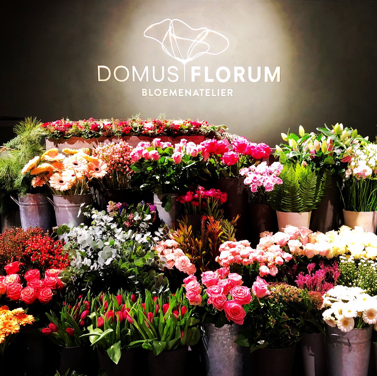 DomusFlorum's tweet photo. #Happy2019 we nemen even een #break en zijn er terug voor u vanaf 8/01 https://t.co/BcXuCVPOgw
