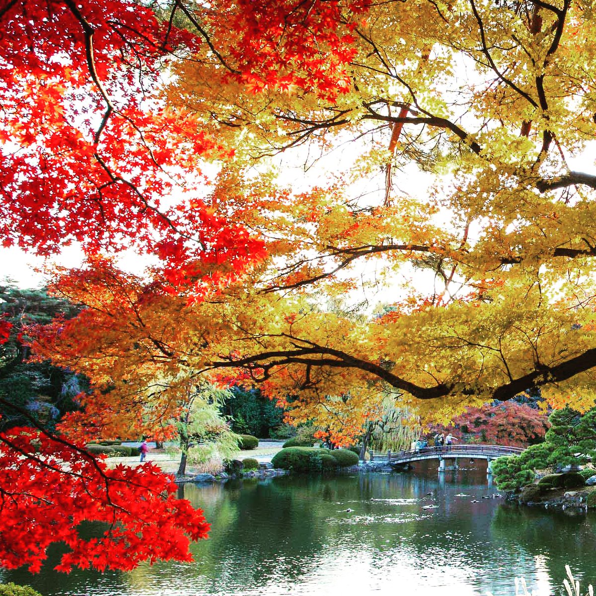 Sonbahar tatiliniz hazır mı? Hemen günlük kiralık villara göz atın tatiniz şimdiden hazır olsun... emlaksayfam.com/kiralik/villa
#sonbahar #kiralık #günlükkiralık #sayfalarcailan #kiralıkvilla